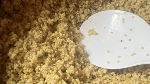 Homepage - Gabe's Recipes 2 Vegetarian Quinoa Salad Recipe